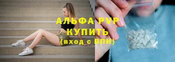 ПСИЛОЦИБИНОВЫЕ ГРИБЫ Нязепетровск